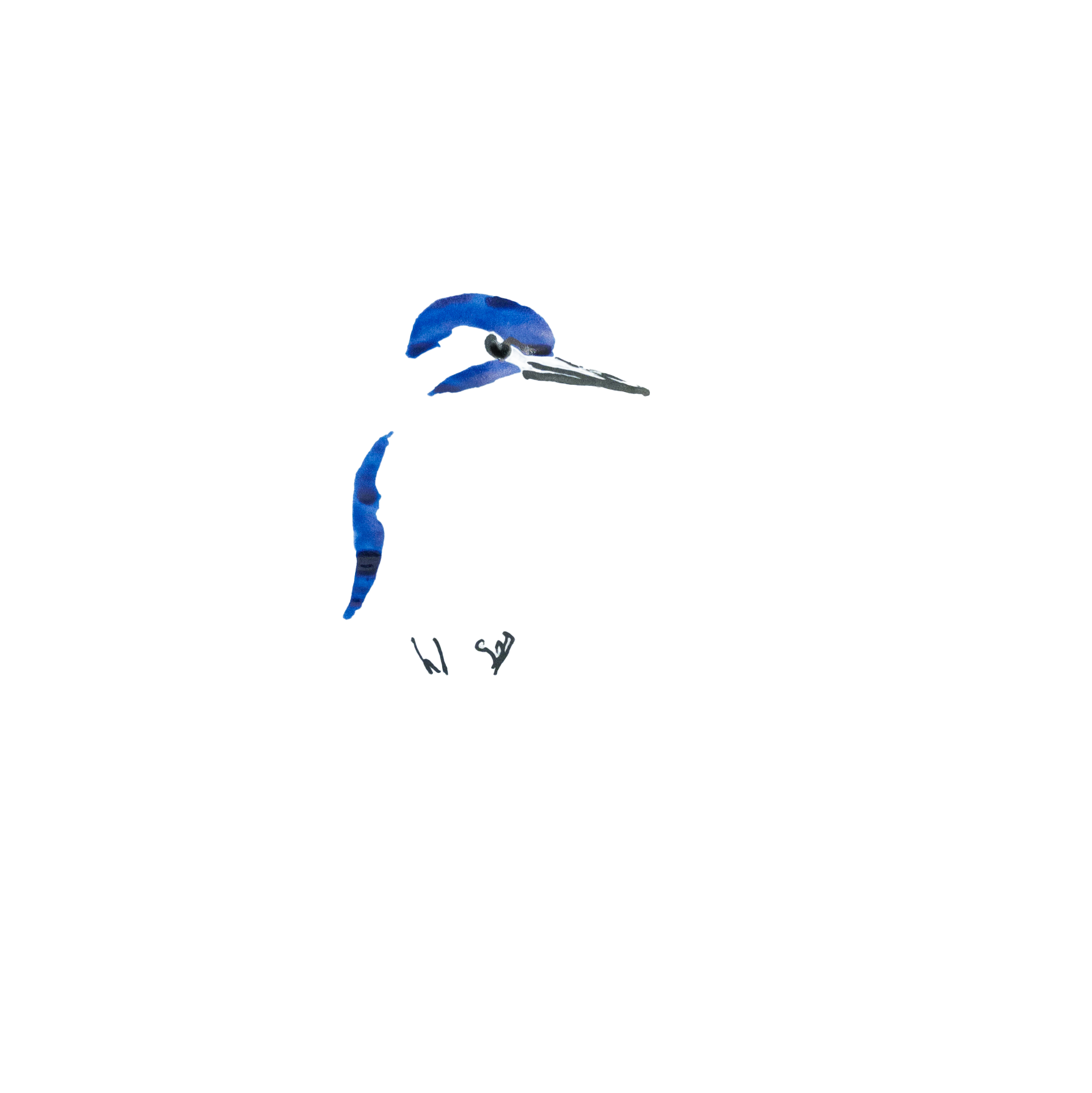 Minimalist image of a perched kingfisher